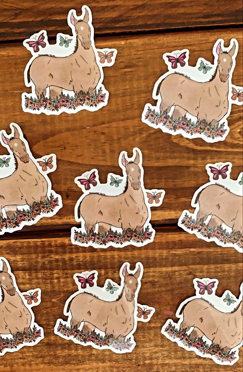 THE SPRING FILLY DECAL
