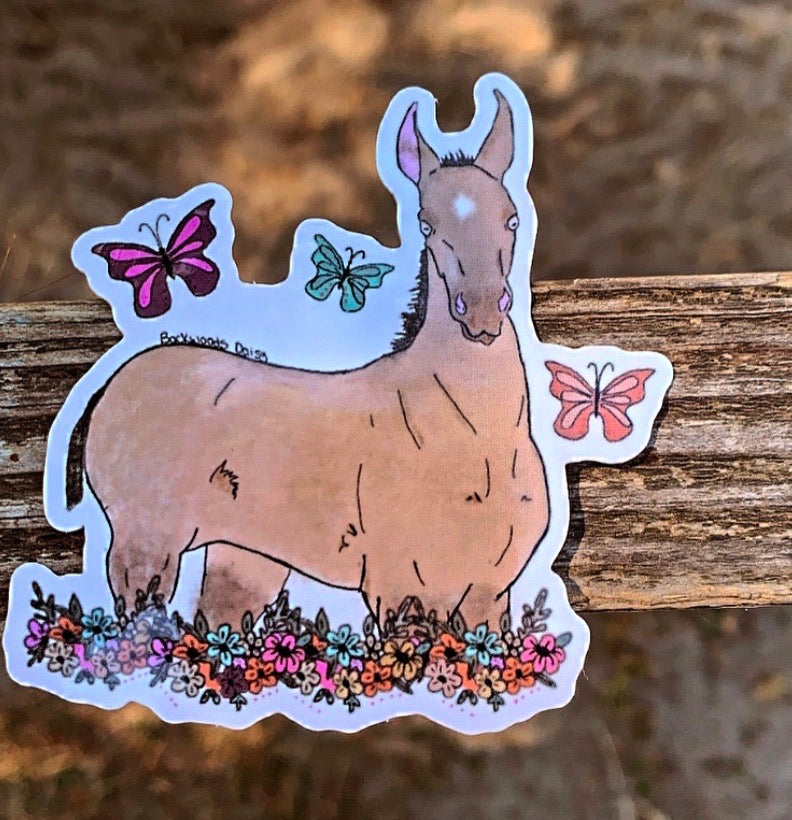 THE SPRING FILLY DECAL