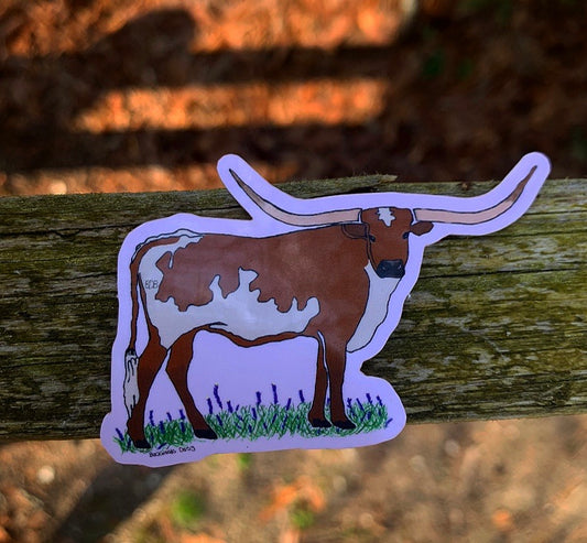 LONGHORN AND BLUE BONNETS DECAL